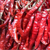 Dry Red Chilli